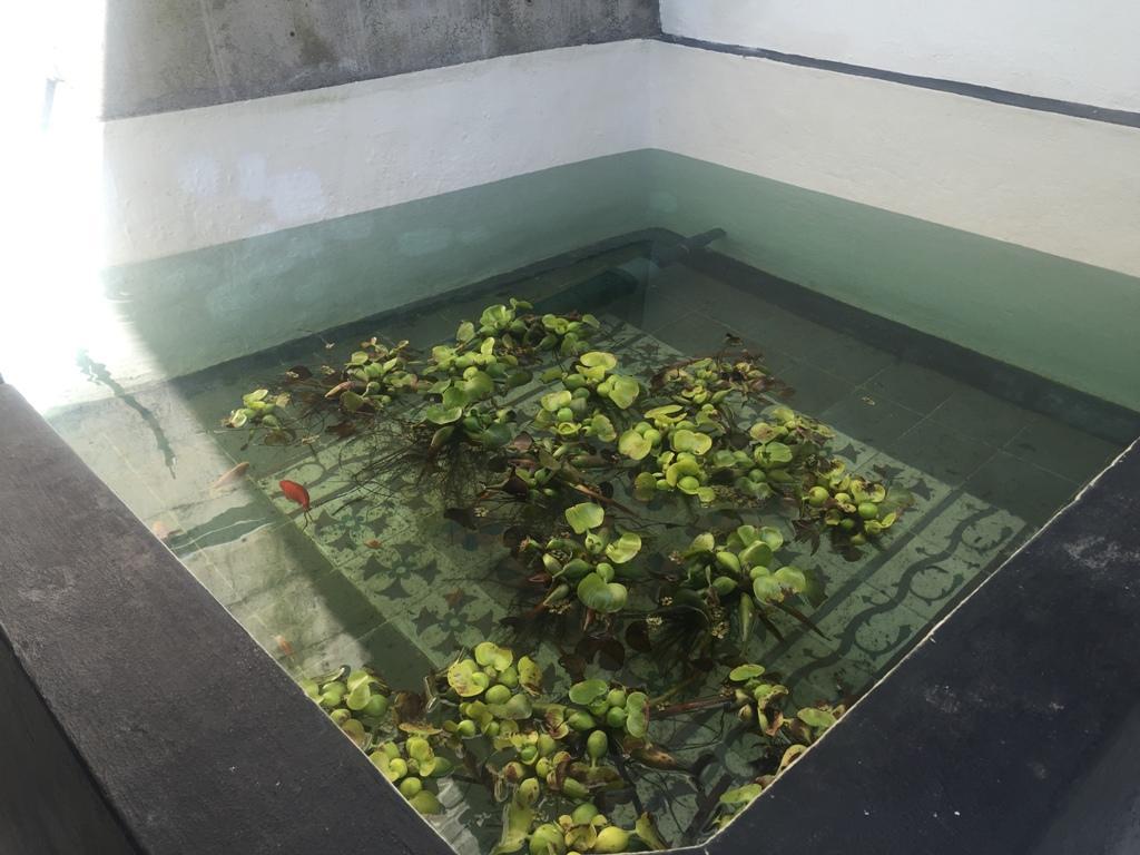 Villa Mamita Los Llanos De Aridane Zewnętrze zdjęcie